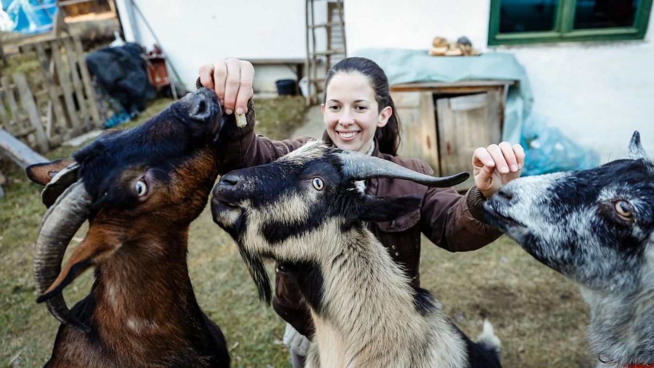 Teljesült a gyerekkori álom: menedékfarm az állatoknak