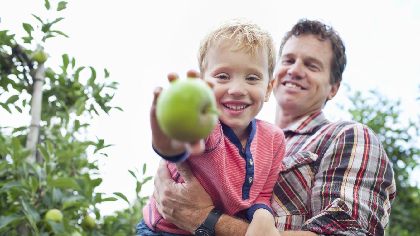 A magyar mezőgazdaság GMO-mentes marad
