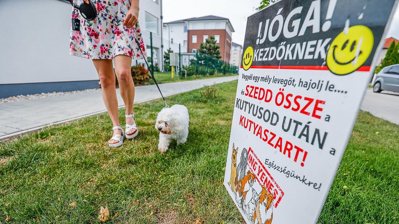 A Közösen a Kutyákkal Egyesület kampányt indított a kutyagumi ellen