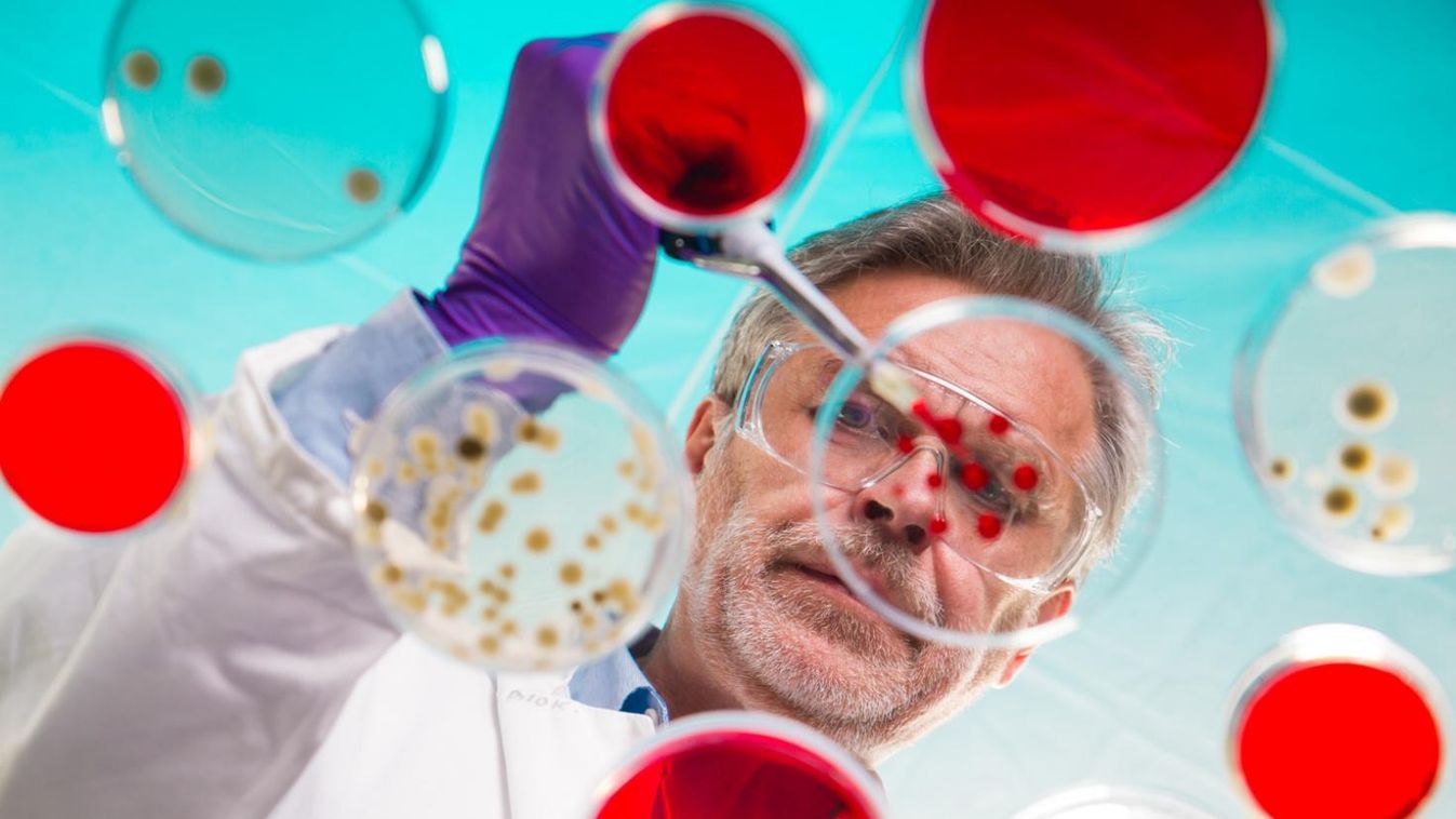 Ellenállnak az antibiotikumoknak a baktériumok