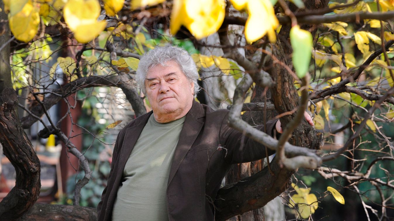 Elhunyt Gyulai Líviusz grafikusművész