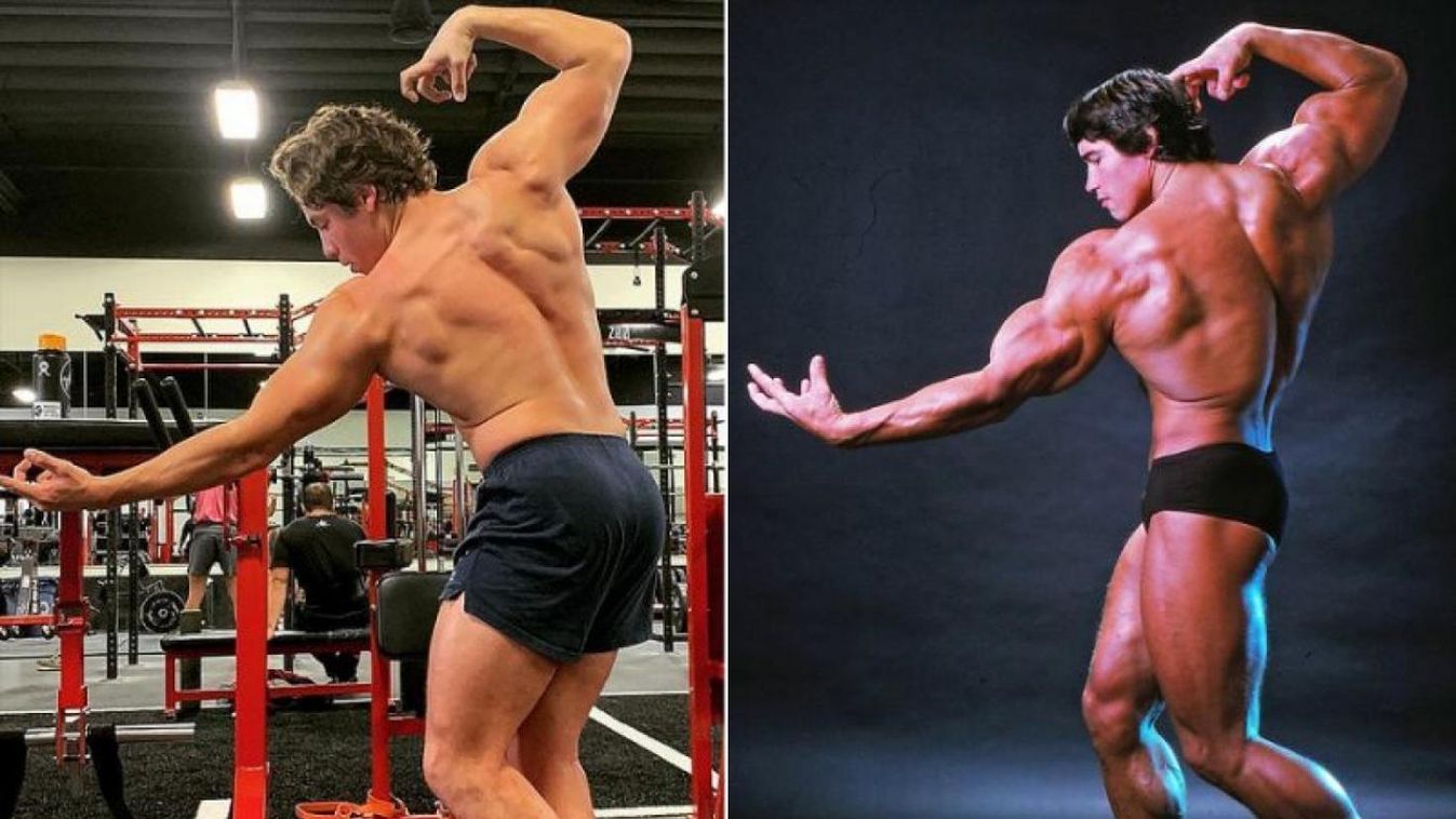 Schwarzenegger fia tiszta apja