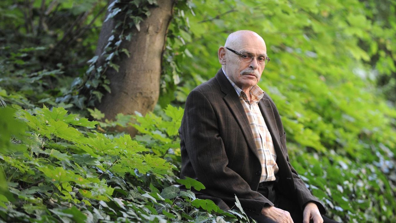 Szilágyi István író 80 éves