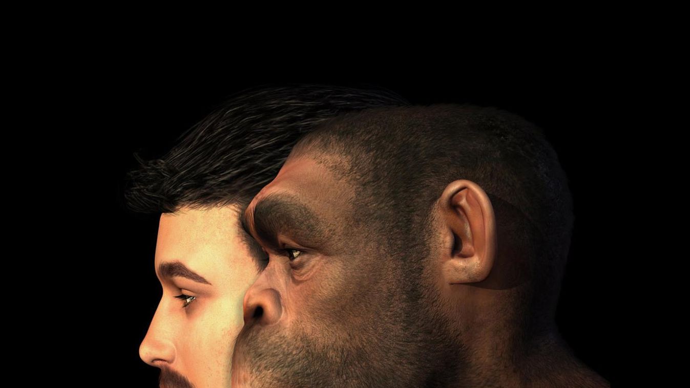 A Homo erectus jobban hasonlított ránk, mint eddig gondolták
