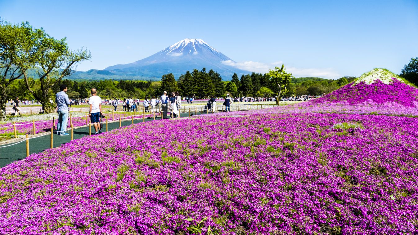 Nyártól csak adomány fejében lehet felmenni Japán szent hegyére