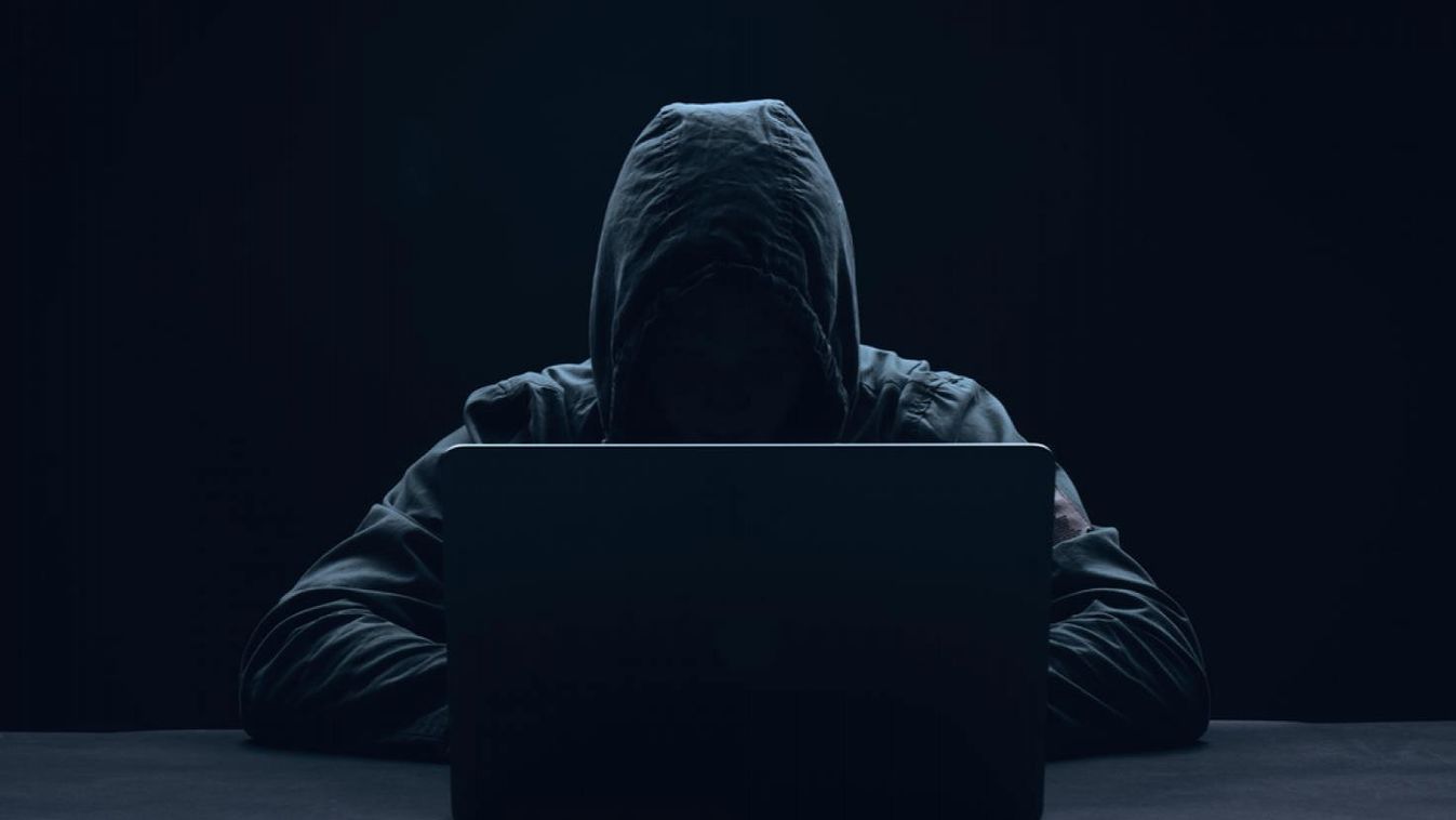 Ezzel a módszerrel verték le a weboldalakat