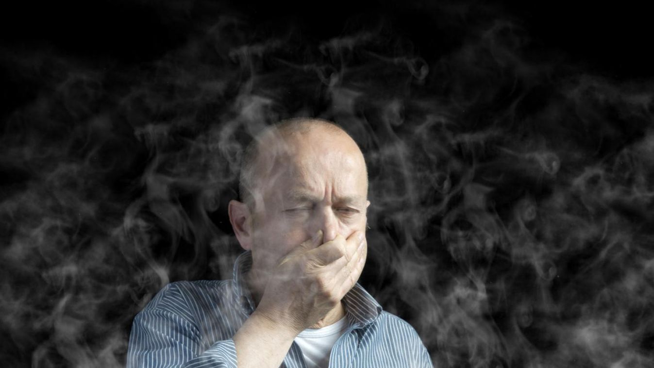 Hulladékégető a város szélén