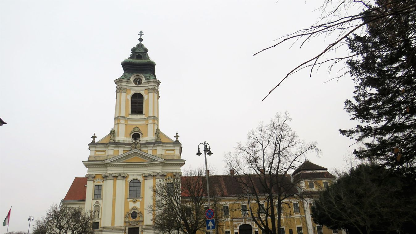 Misi, Pisti és egy népművelő