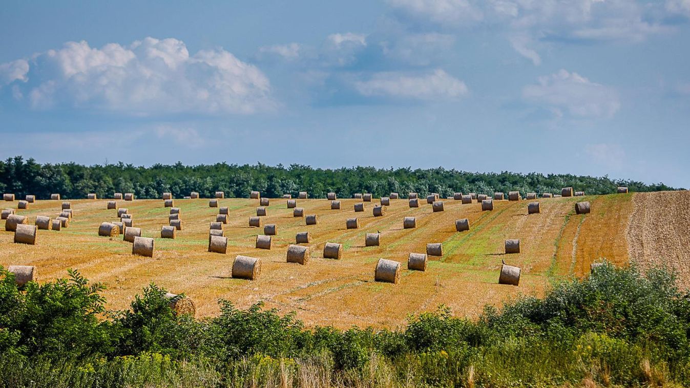 Szeles idővel és egyre több napsütéssel indul a hét