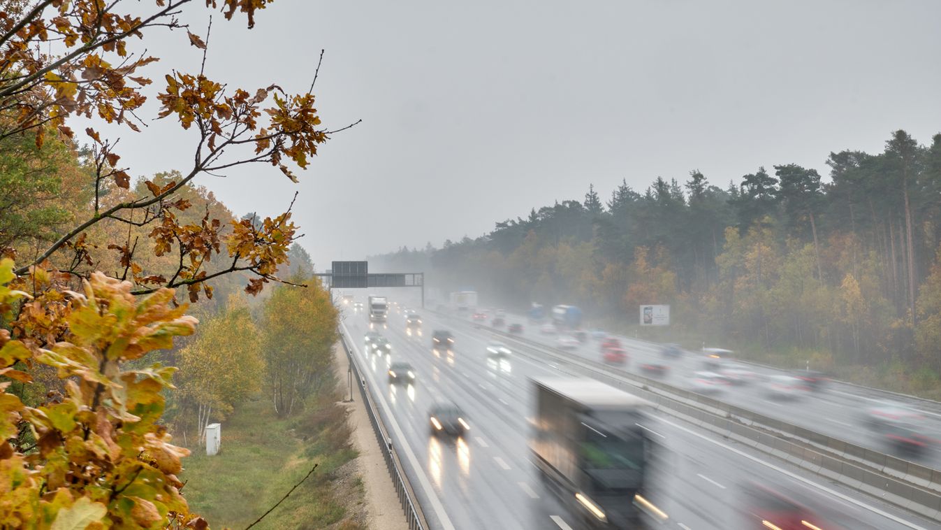 A zajszennyezés a fák szaporodását is lassítja