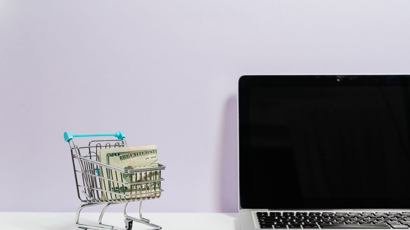 Milyen előnyökkel jár a webshop bérlés?