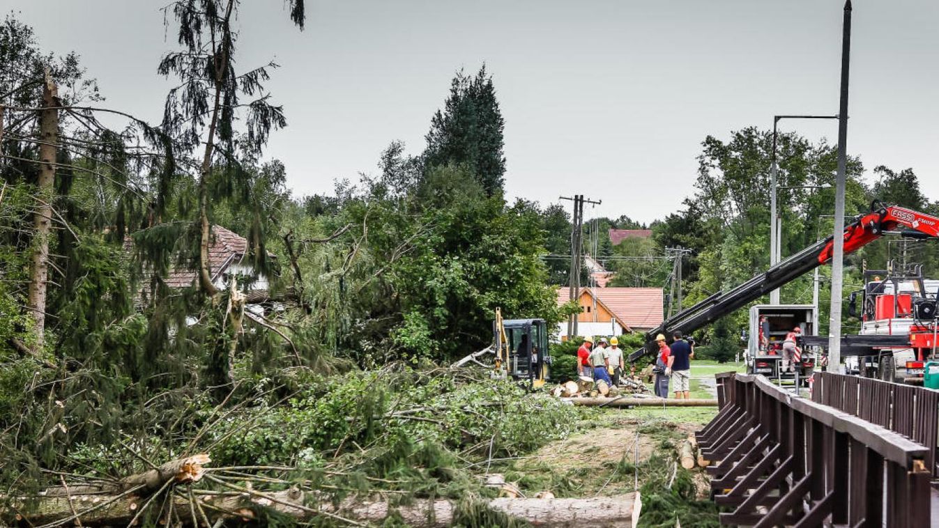 Levonták az augusztusi vihar pusztításának tanulságait az erdőkben