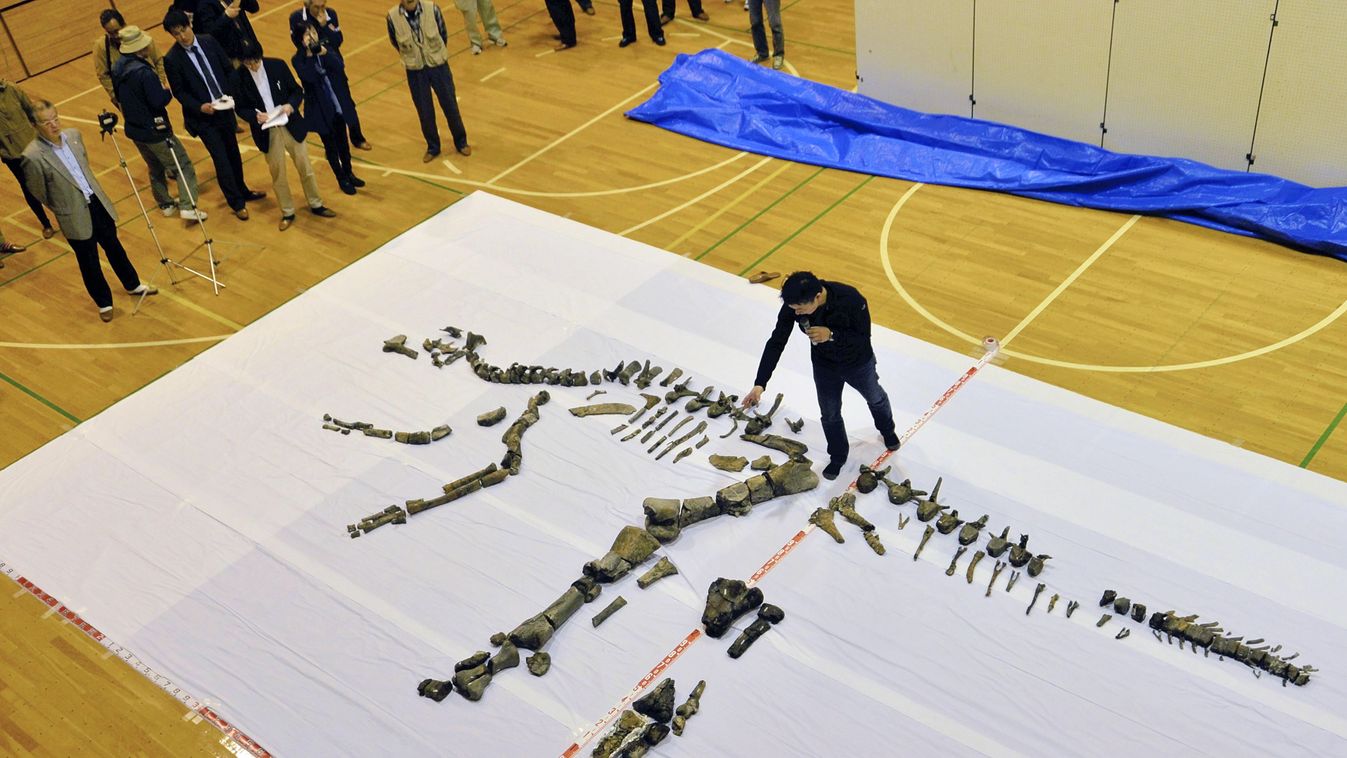 72 millió éve élt dinoszauruszfajt fedeztek fel Japánban