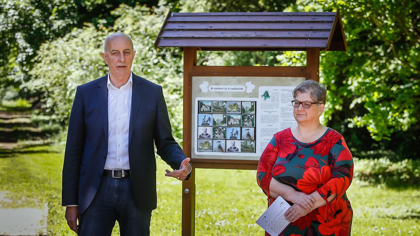 Rendbe hozzák a körmendi várkertet