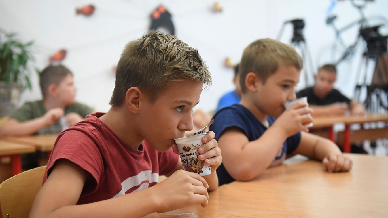 Tíz év alatt kétszeresére nőtt a tejben és gyümölcsben részesülő iskolások száma