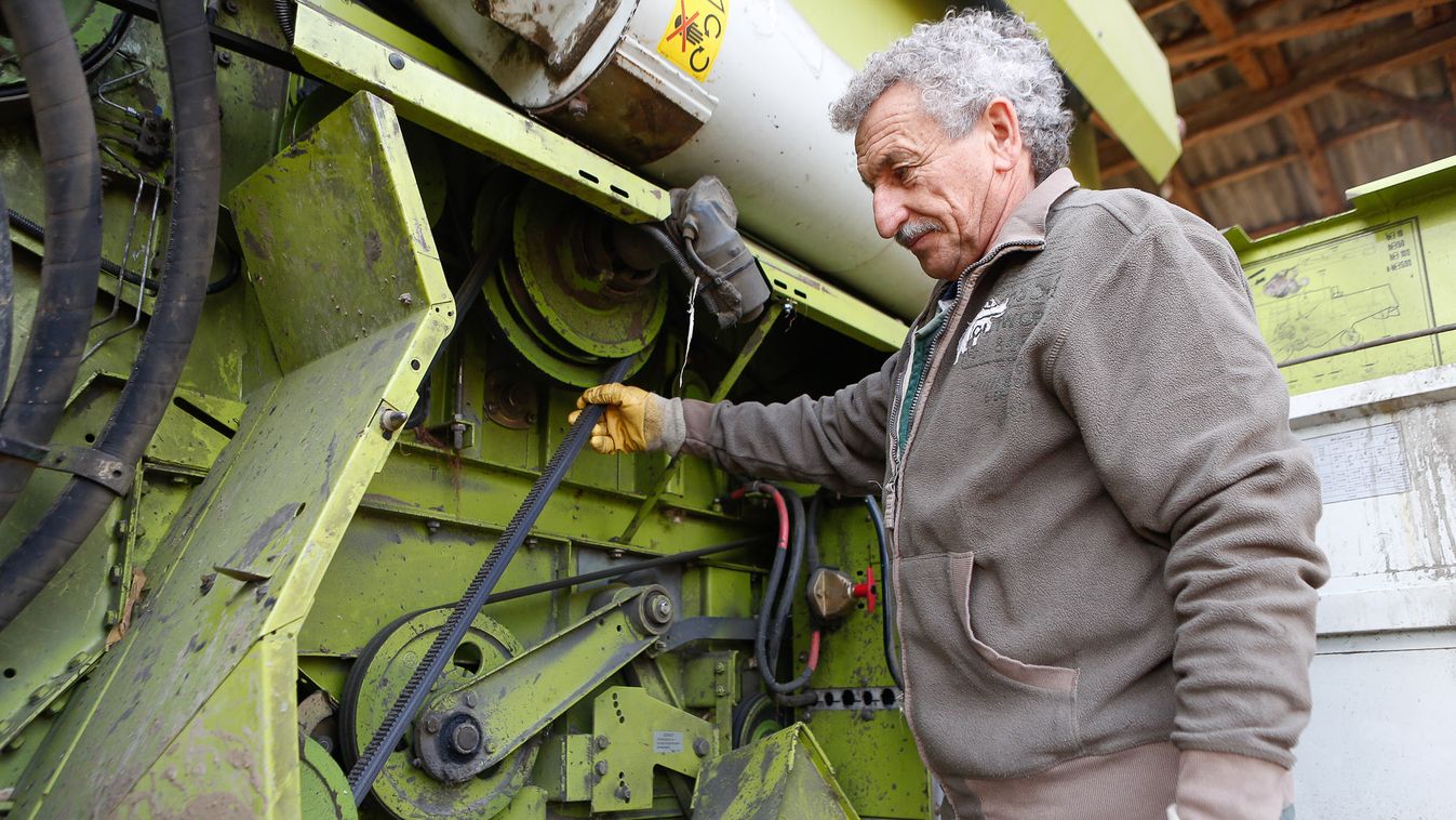 A gazdák kényszerűségből több tavaszi búzát és árpát vetnek majd