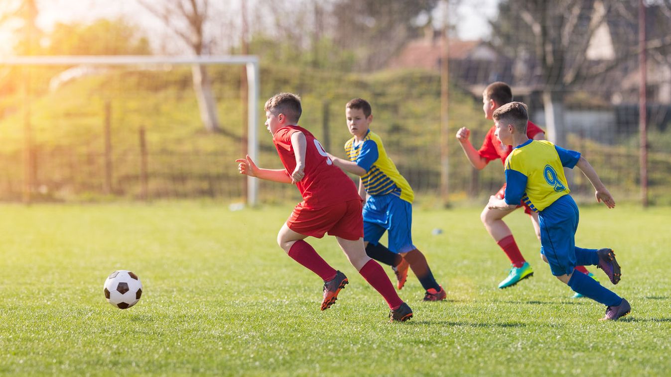 Tizenkilenc külhoni magyar fiatal nyerte el a Jó tanuló, jó sportoló címet
