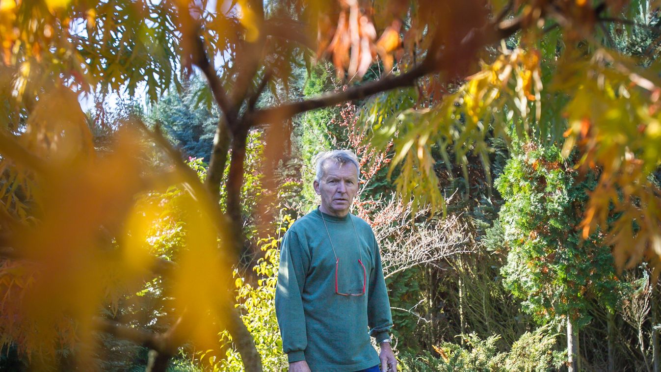 Érték a mini arborétum Nicken, sok, hajdan szépen viruló fa mostanra elkezdett kiszáradni