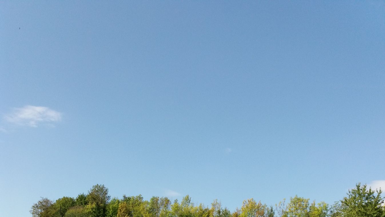 Csősznek álltunk a csepregi hegyen egy távcsővel és egy fokossal