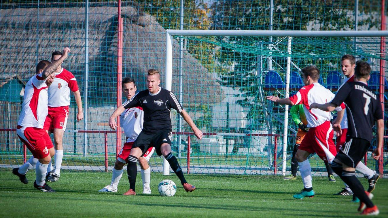MK: rumi meglepetés a CVSE otthonában