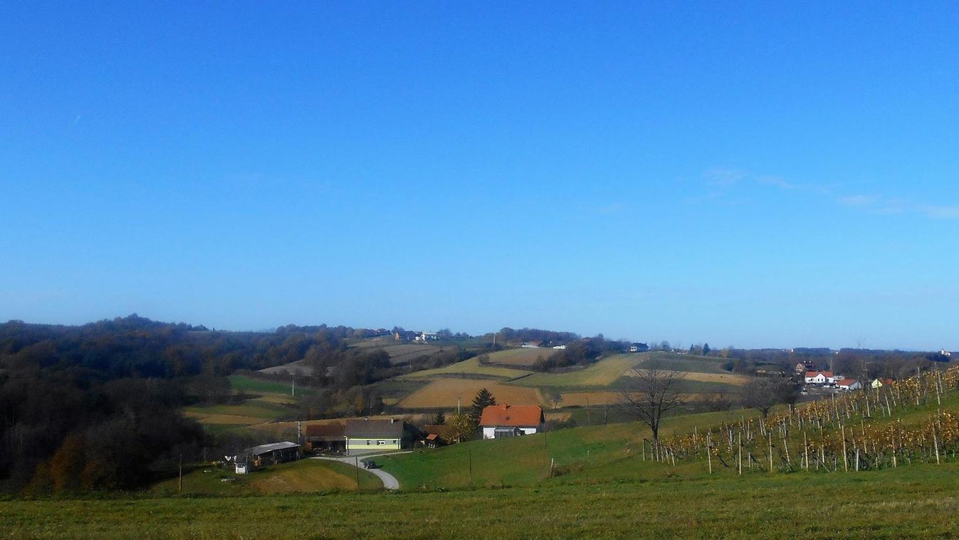 Vargányaleves hétfőn reggelire