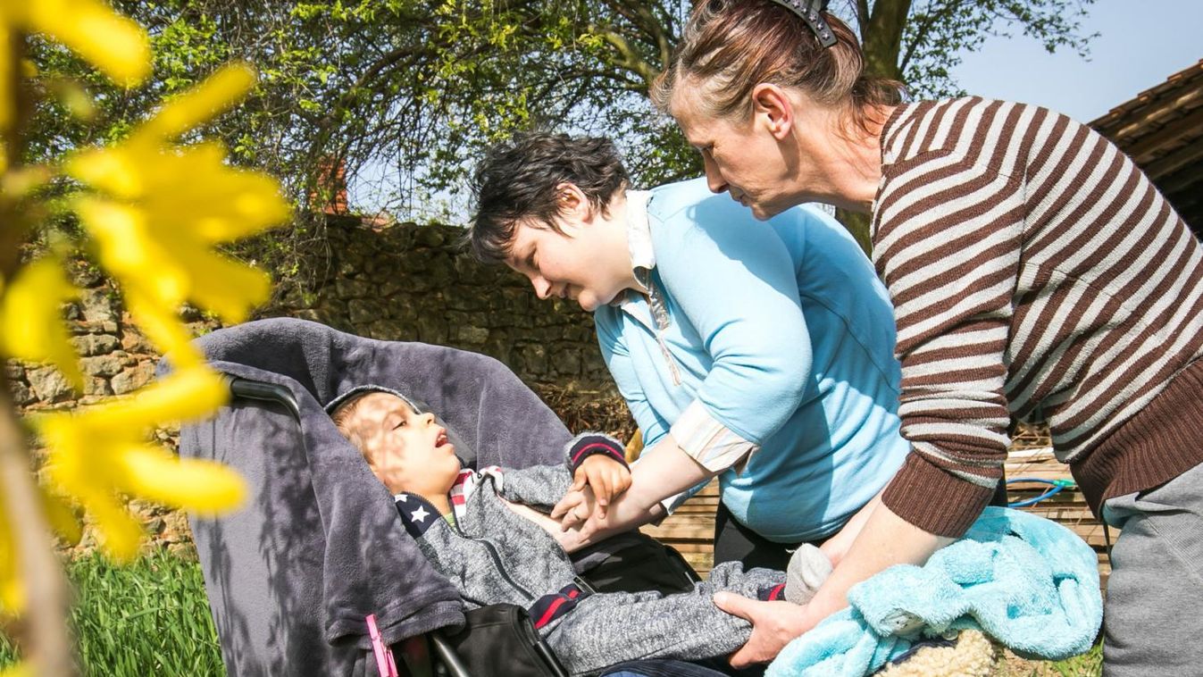 Kiemelkedő választási aktivitás, hurok miatt pusztuló őzek – Ez történt a héten Vas megyében