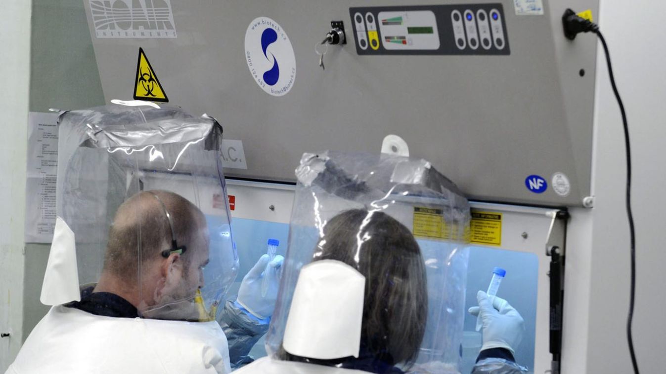 Hogyan került az ebola Magyarországra?