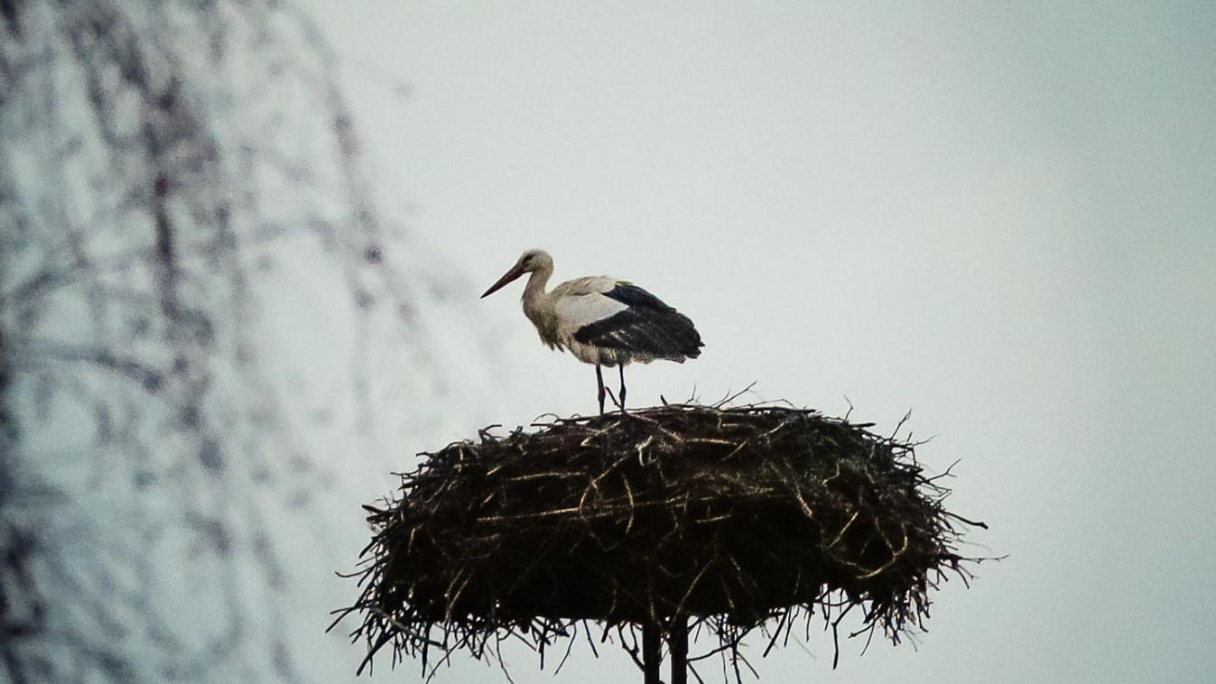 Nem a hideg, a hó okozhat gólyagondot
