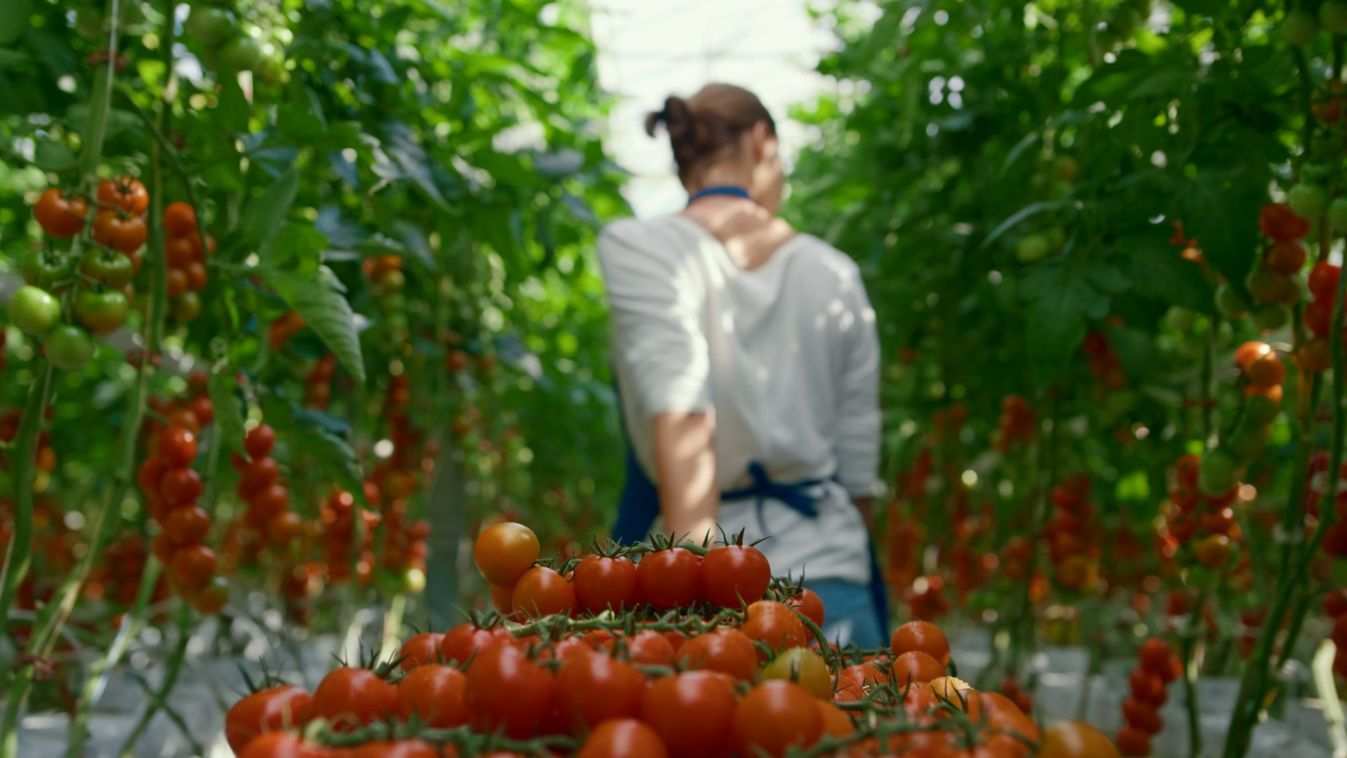 Történelmi lehetőség a vidék számára a megemelt kormányzati támogatás