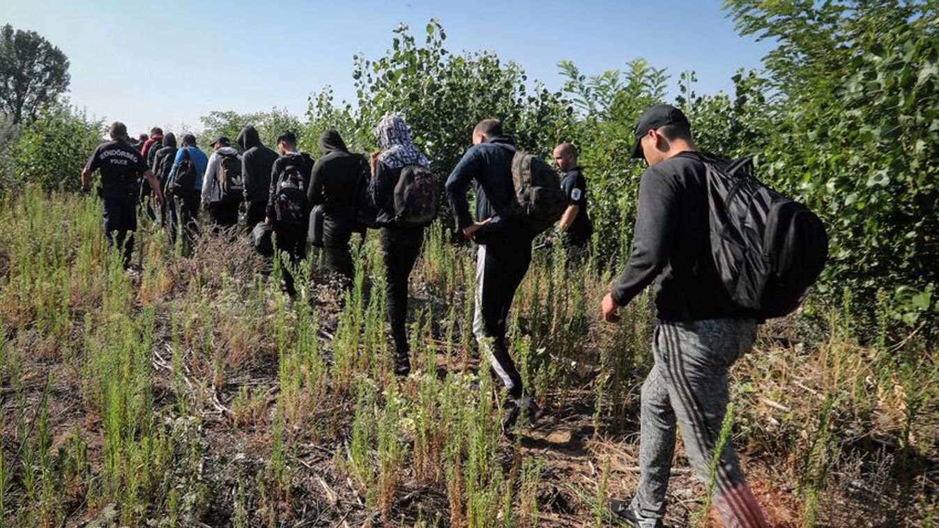 Ismét migránsok lövöldözhettek Horgosnál
