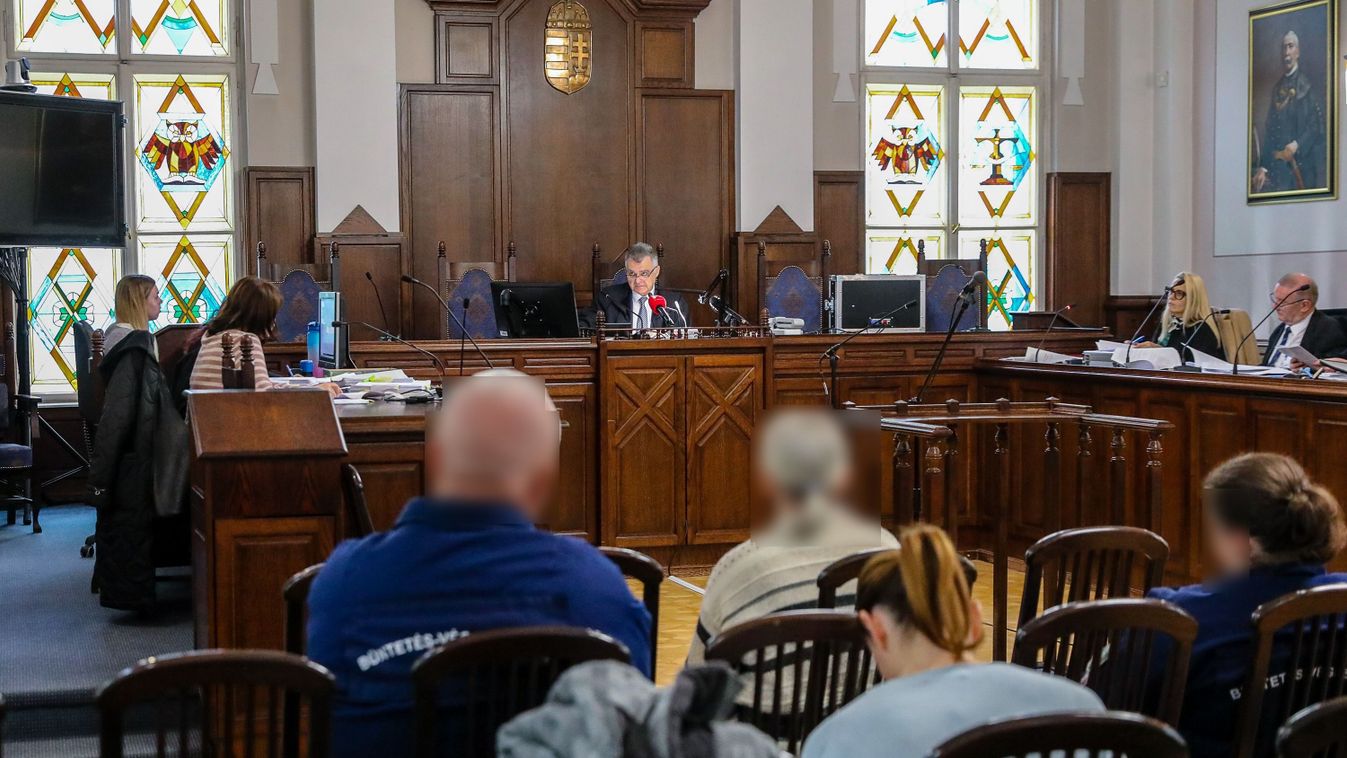 Nárai emberölés: bűnösnek mondták ki az asszonyt - Elsőfokon tizenkét év szabadságvesztésre ítélték fegyházban - fotók