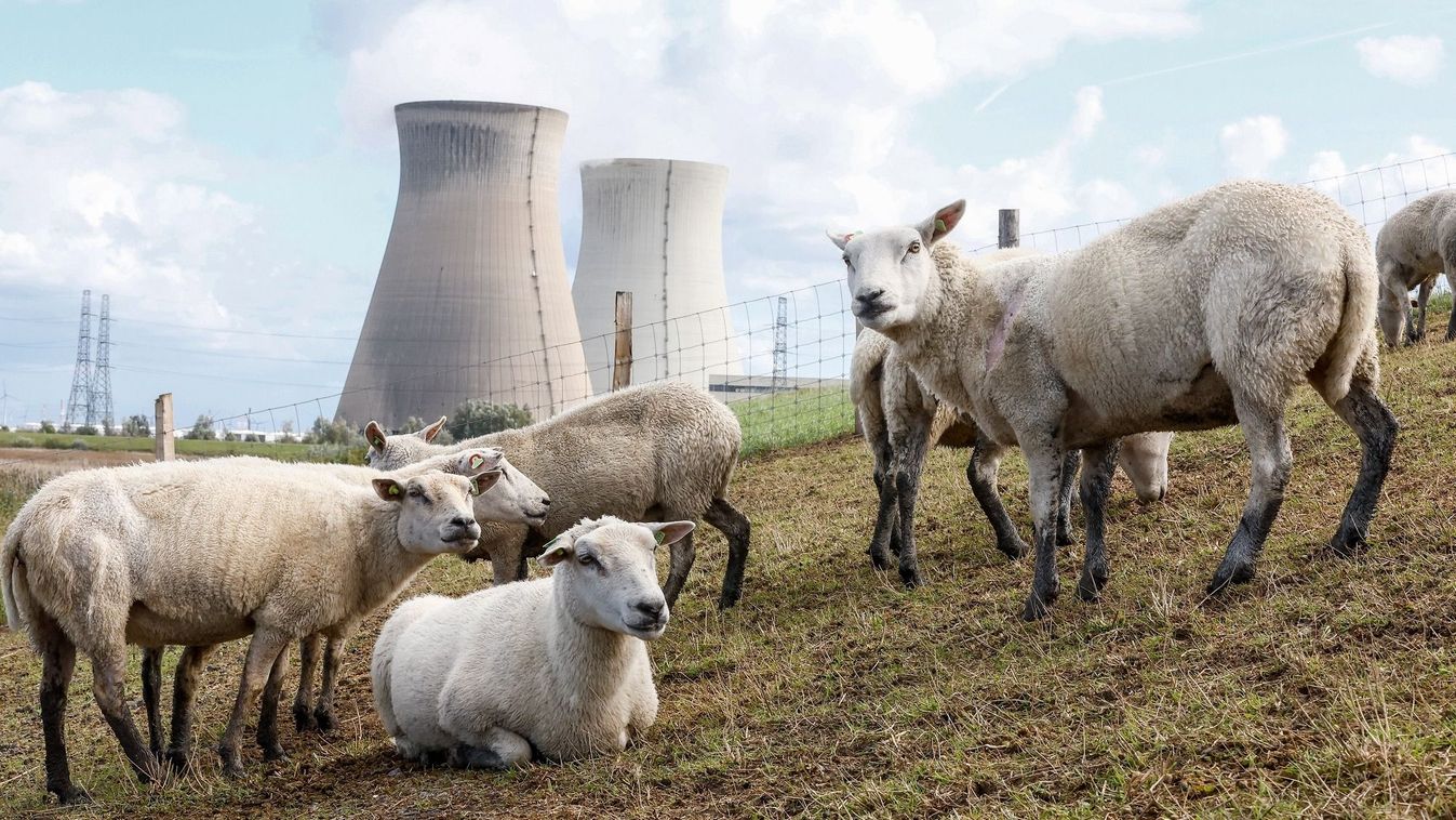 Századvég: növekszik az atomenergia társadalmi támogatottsága Európában