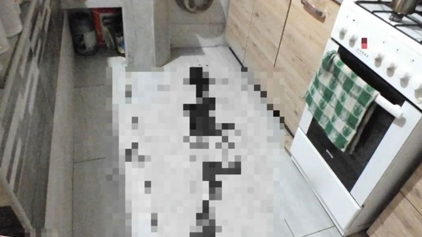 Magára hagyta haldokló barátnőjét egy férfi Dunaharasztiban, a nő elvérzett