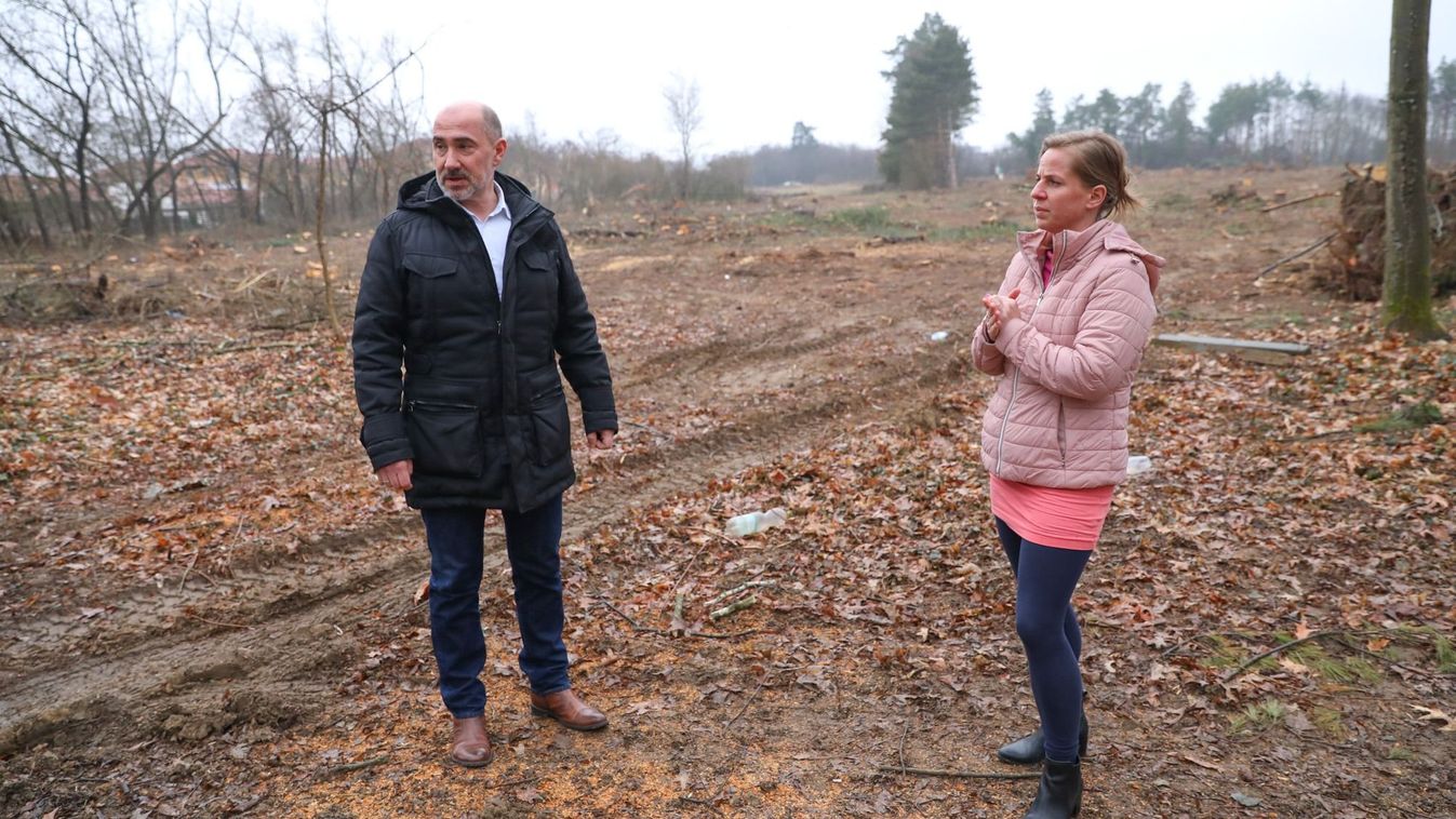 Teljes a döbbenet: két hektárról tűntek el a fák Szombathelyen