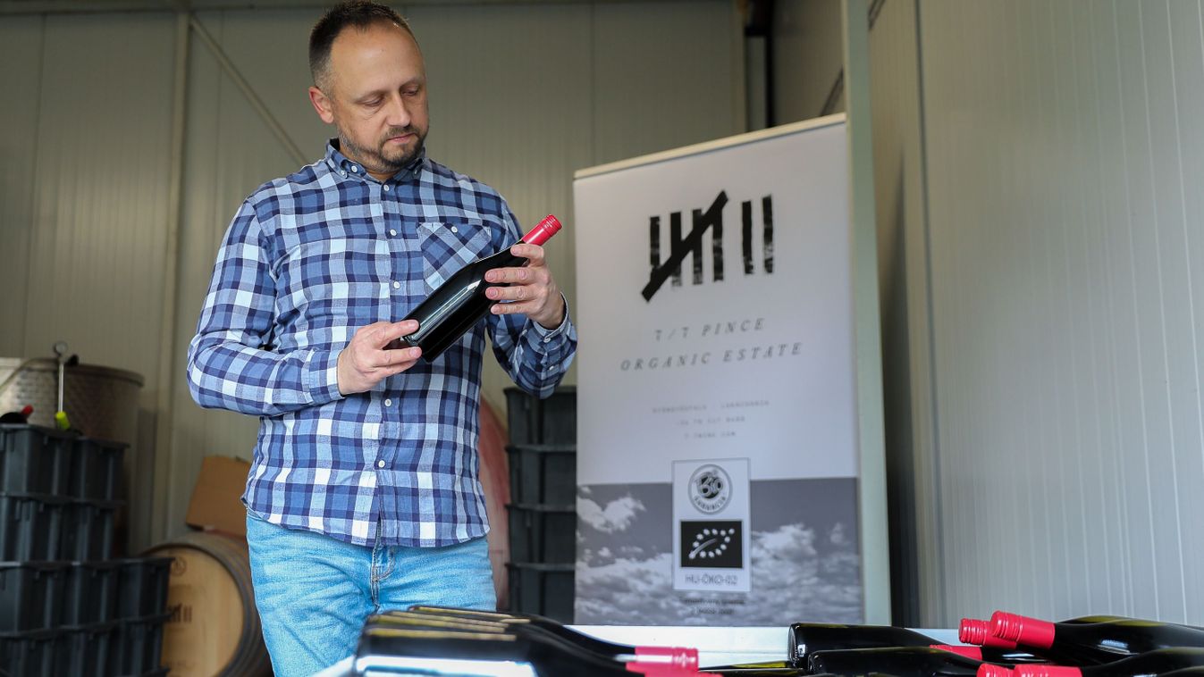 Esztétikus fogpótlások és biobor – A gencsapáti Tömő Szabolcs mindkettőt készíti - fotók