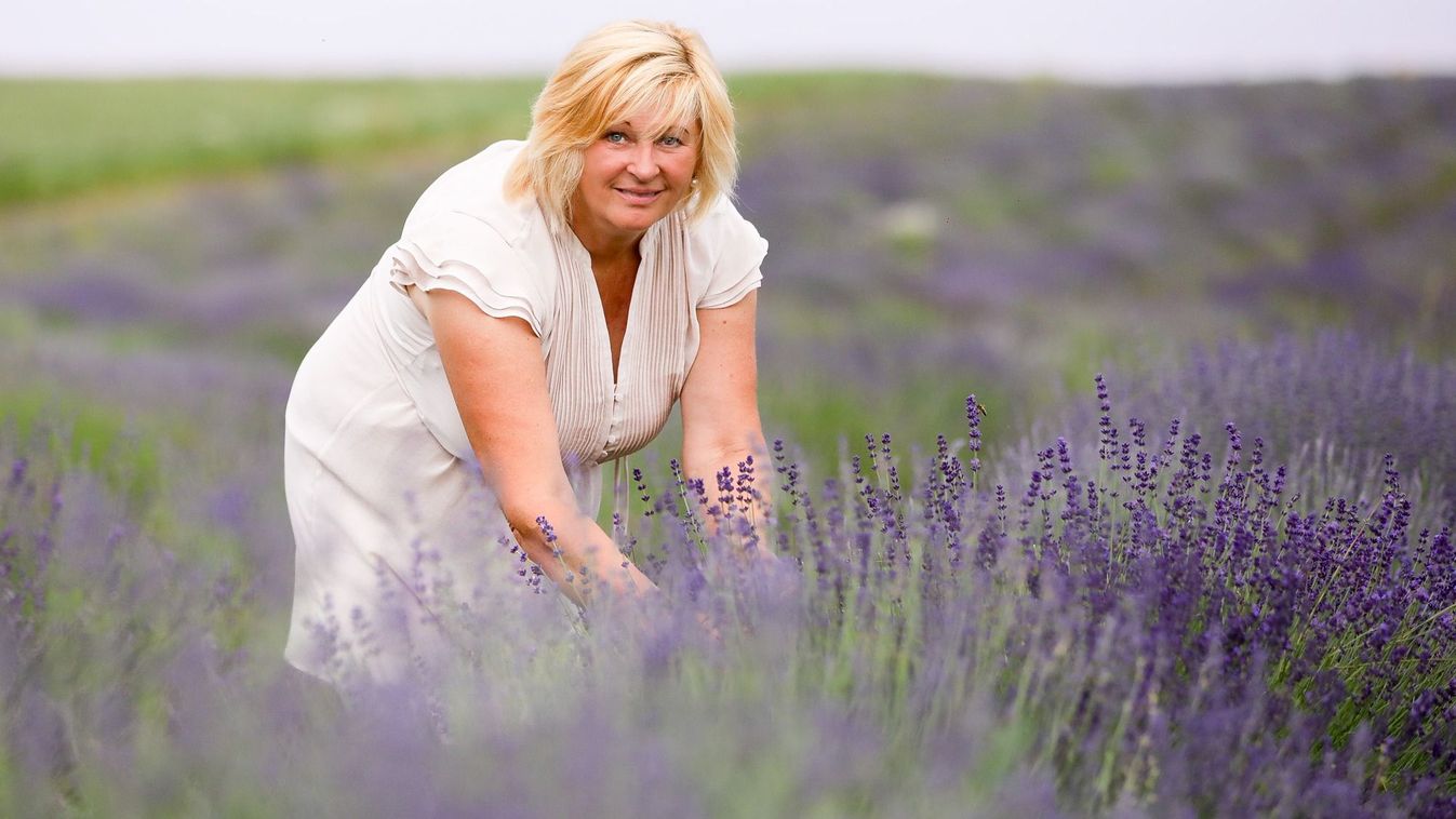 Virágzik a levendula: szörp és keksz is készül a növényből - fotók