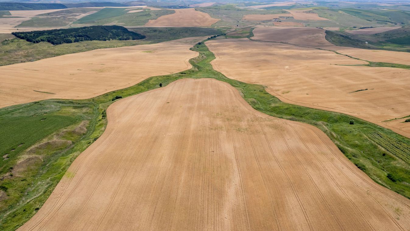 NAK: káros lenne az uniós gazdákra az EU-Mercosur kereskedelmi megállapodás