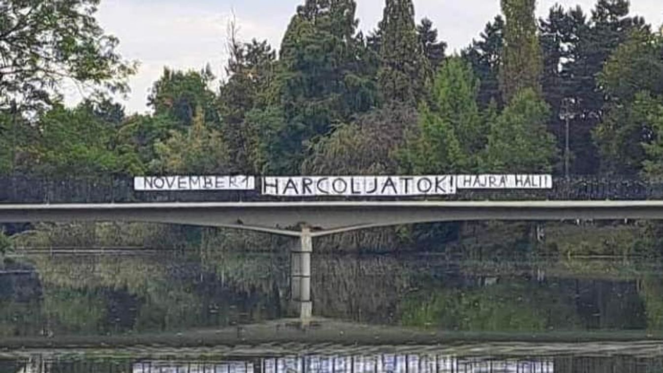 Üzent a játékosoknak a Hali-tábor - fotó