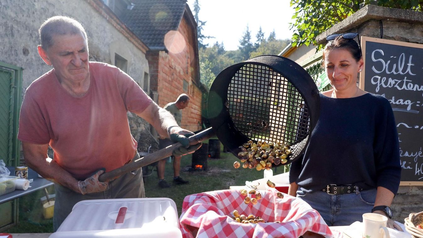 Velembe beköszönt az ősz, a Fő utcán suhant, de nem nesztelen