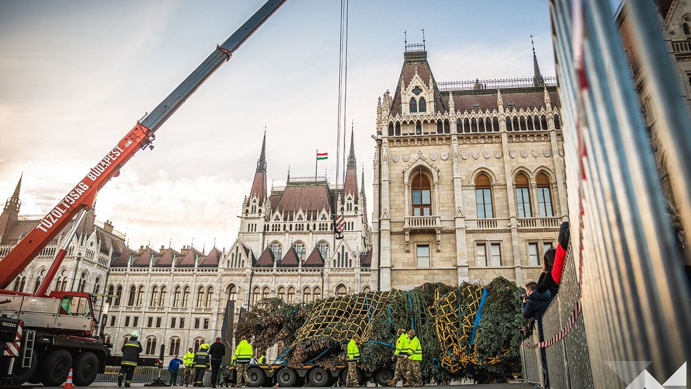 Az ország karácsonyfája idén Hajdúszoboszlóról érkezik a Kossuth térre