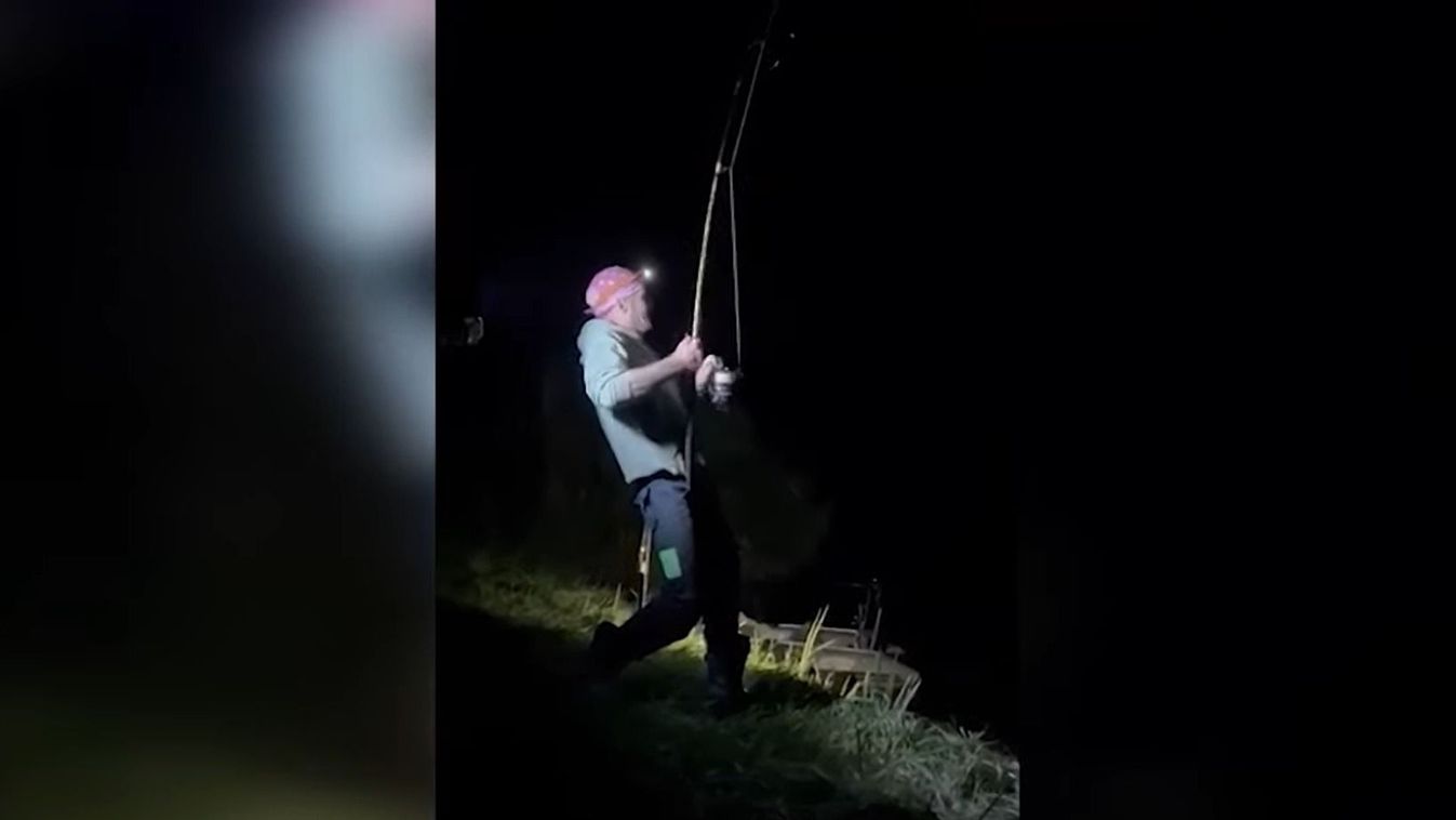 Gigantikus óriást fogtak Bajánsenyén, videón a kapitális harcsa