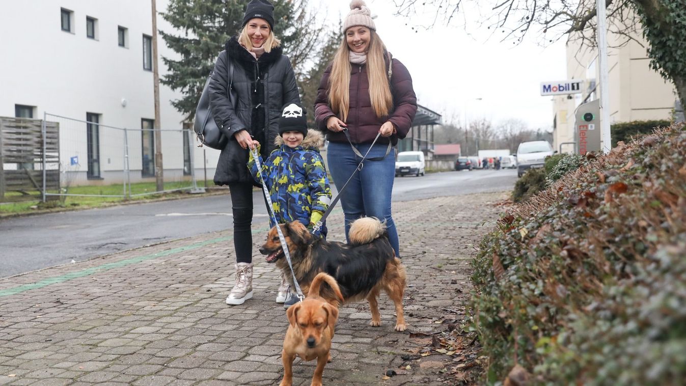 Vas Népe-kalendárium: a Fekete István Állatvédő Egyesület árva kutyusait vittük sétára