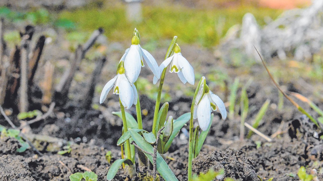 A téli reggelt napsütéses, tavaszias idő váltja fel pénteken is Vas vármegyében