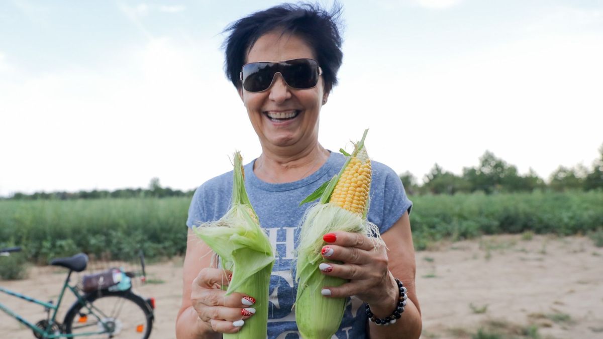 Kiss Mária egyik kedvence a grillezett csemegekukorica