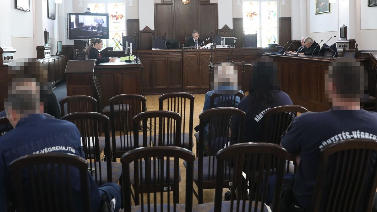 Tanúmeghallgatás, szakértői beszámolók a Szombathelyi Törvényszéken. Elsőfokon mindkét vádlott 12 év fegyházat kapott, kedden megszülethet a másodfokú ítélet is