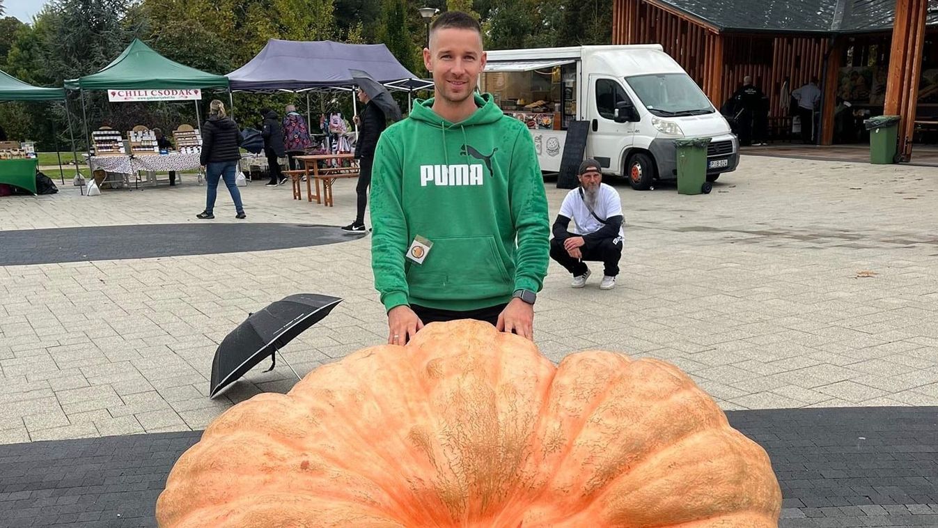 Tippeljen, mekkora a vasi óriástök, ami megnyerte az országos tökversenyt!