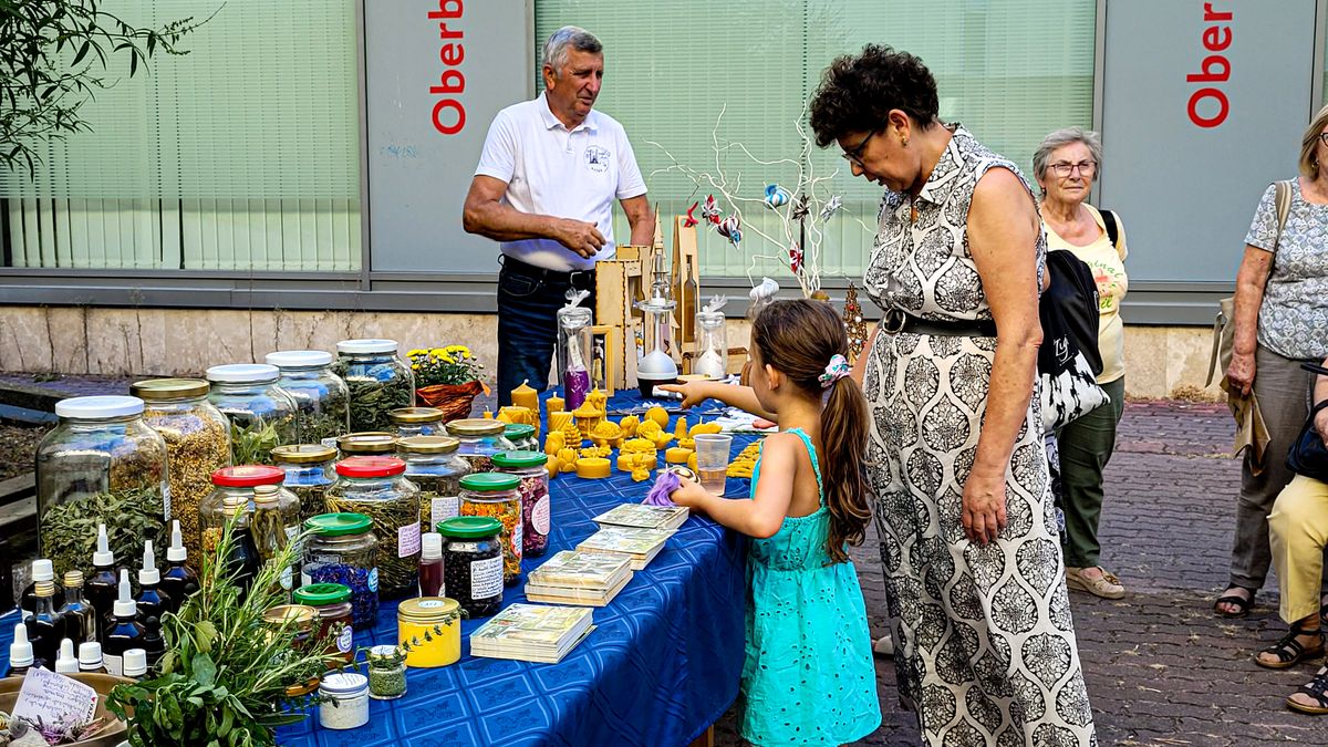 Érték a kirakatban: szeptemberben Sitke mutatkozik be