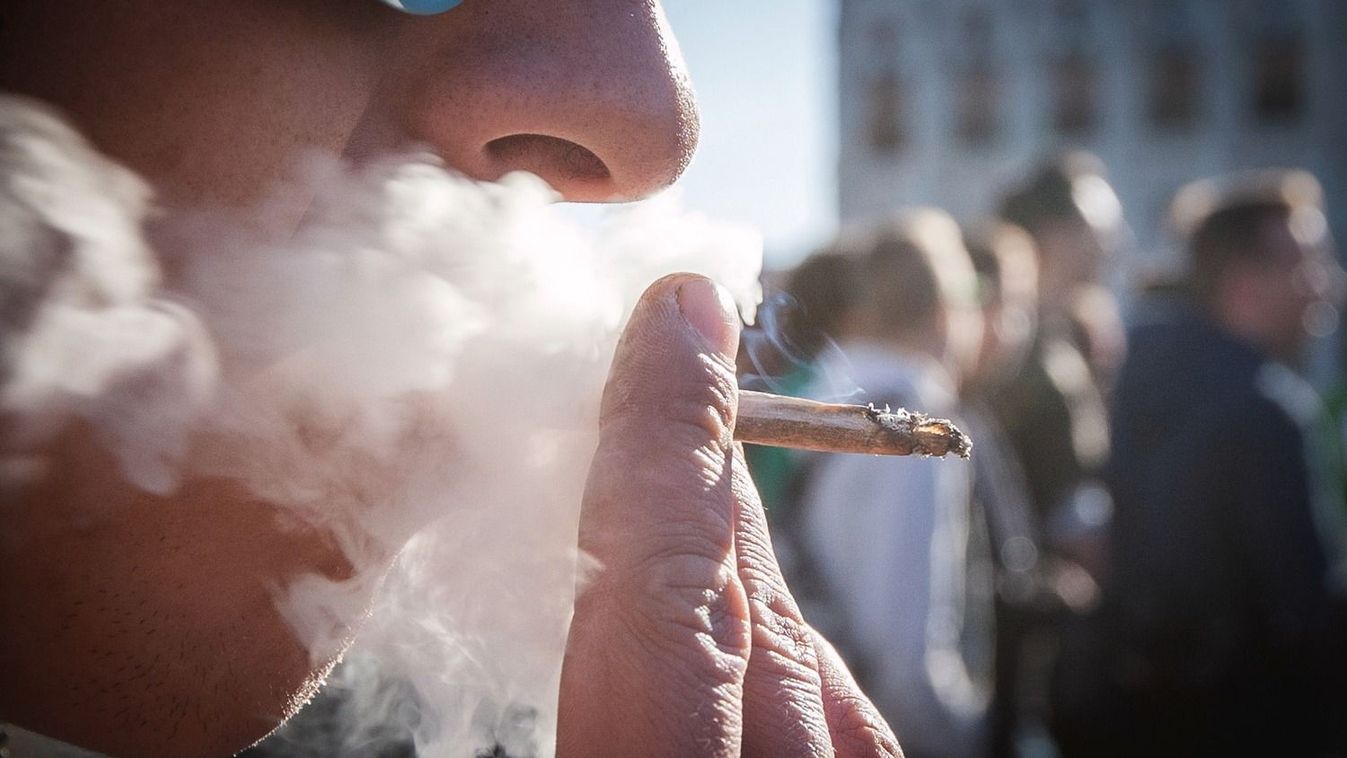 Gyurcsány emberét nem érdeklik a kockázatok, legalizálná a marihuánát
