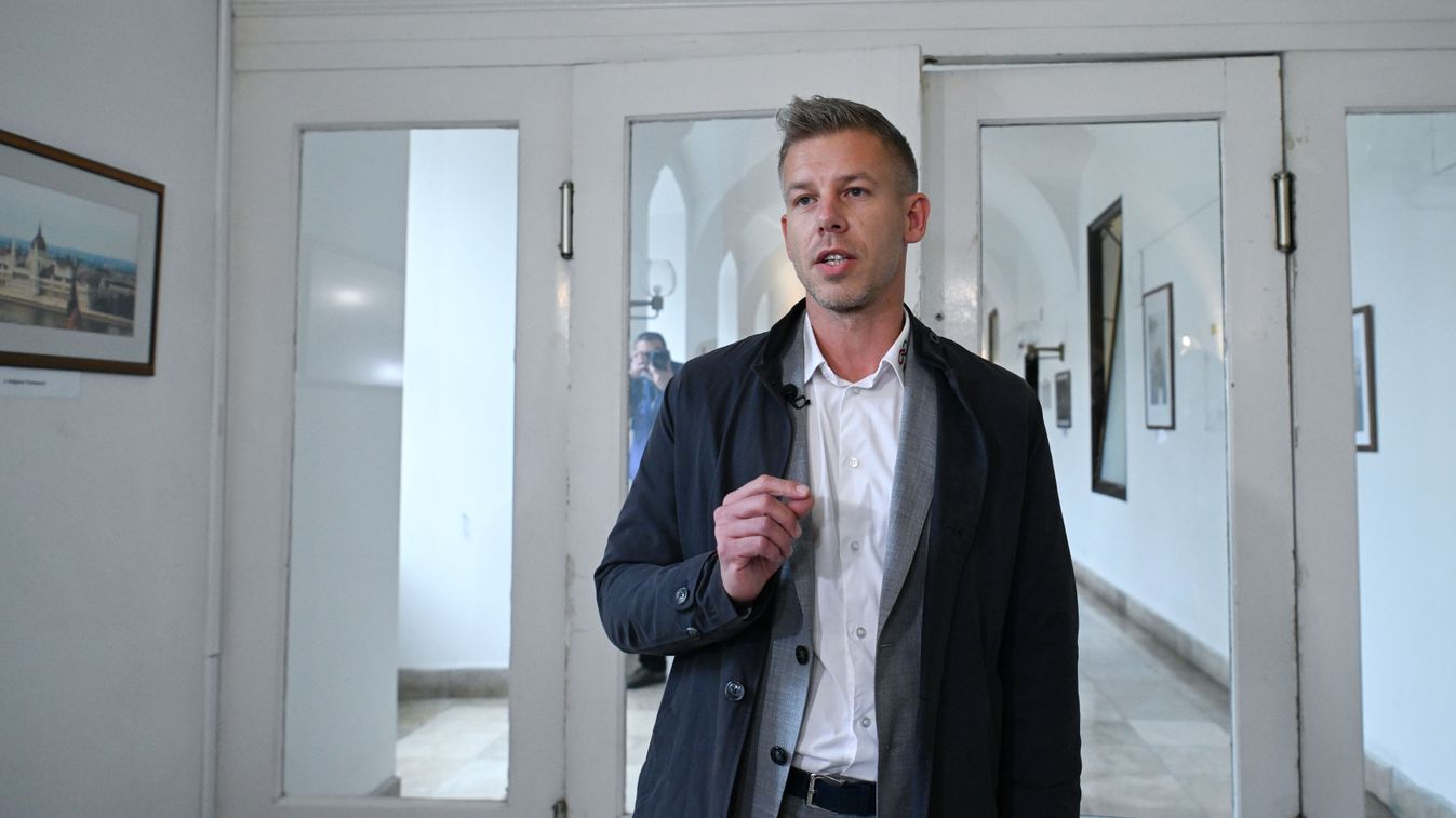 Magyar Péter és a baloldal szerint a bevándorlás és a háború álprobléma (videó)