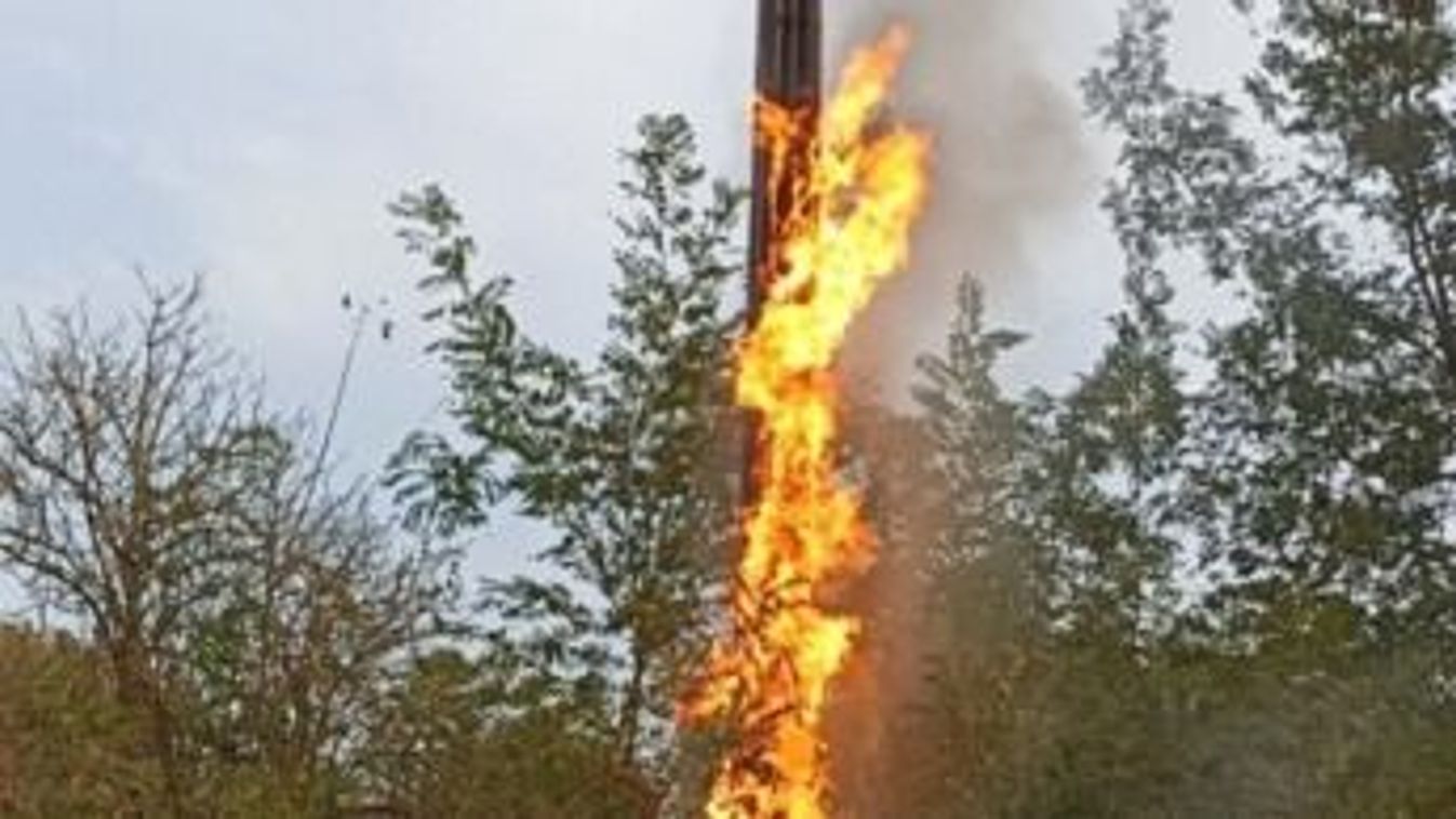 Villanyoszlop lángolt Nádasdnál, az aljnövényzetre is átterjedt a tűz - fotók